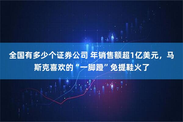 全国有多少个证券公司 年销售额超1亿美元，马斯克喜欢的“一脚蹬”免提鞋火了