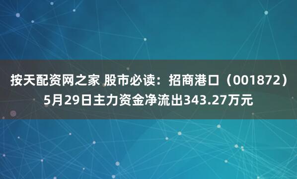 按天配资网之家 股市必读：招商港口（001872）5月29日主力资金净流出343.27万元